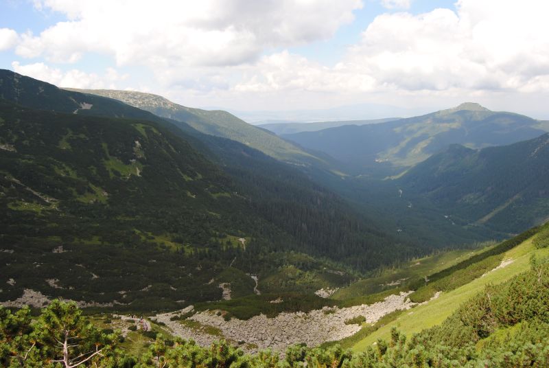 pepajs.cz